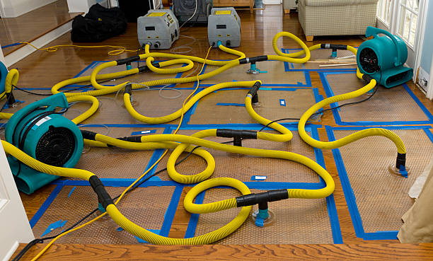 Professional Emergency Water Removal technician working in Egan, LA